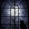 moonlit_window